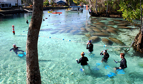 Crystal River