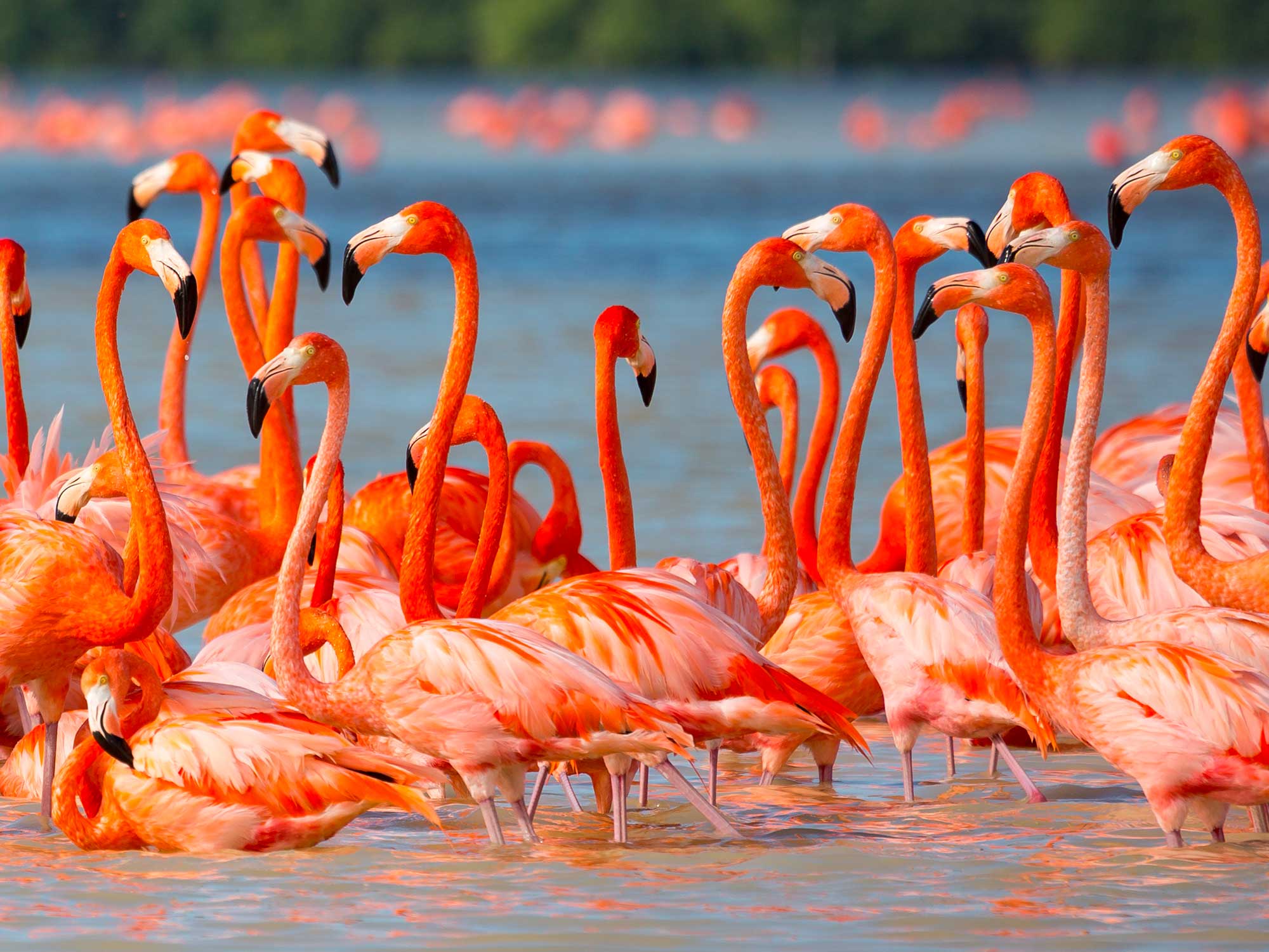 Mexique en famille